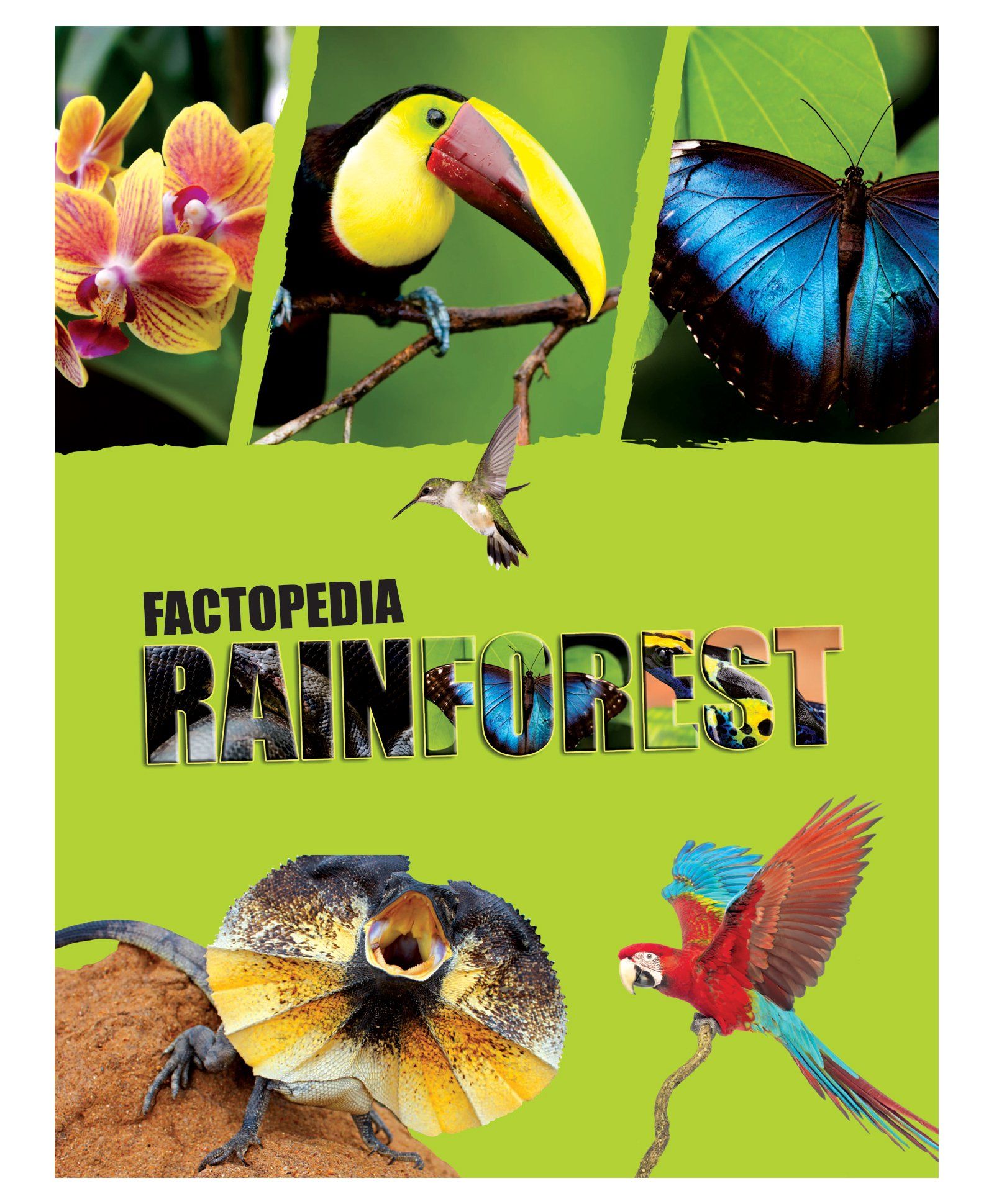 Future Books Factopedia Rainforest - English