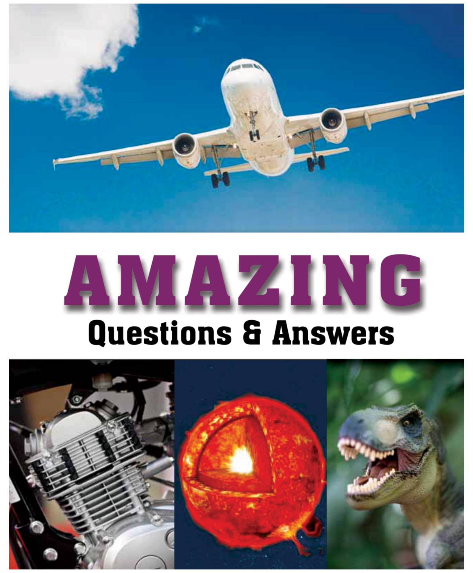 Amazing Questions & Answers - English