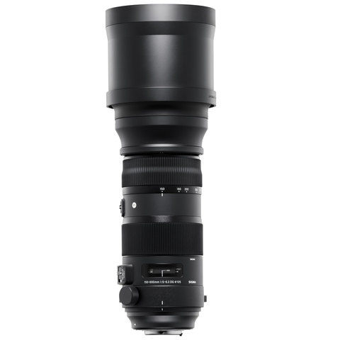 SIGMA Lens 150-600MMF/5-6.3S DG sport lens For Canon