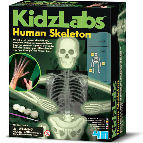 4M Kidz Labs Human Skeleton Play Set