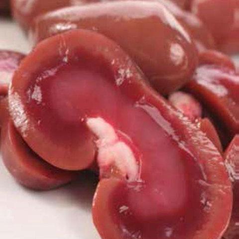 Australian Lamb Kidney