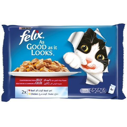 purina felix kitten