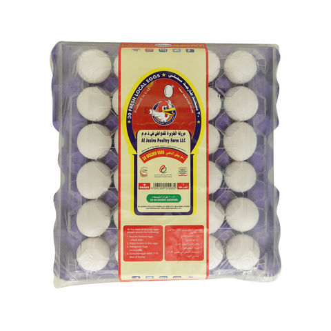 Al Jazira Golden White Eggs x30