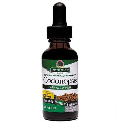 Nature's Answer Codonopsis Root AF Alcohol Free - 1 fl oz