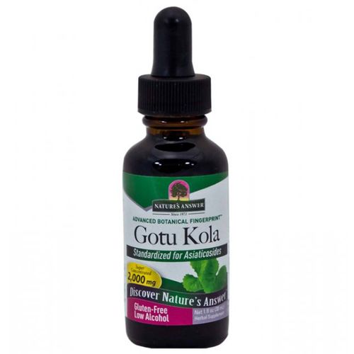 Nature's Answer Gotu Kola  - 1 fl oz