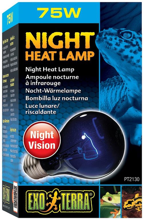 exo terra night heat lamp 75w