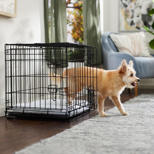 Frisco Heavy Duty Double Door Dog Crate