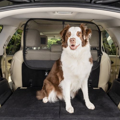 cargo net pet barrier