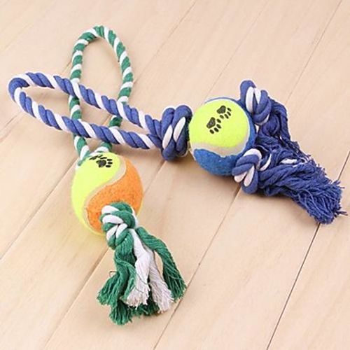 buy pet toys online