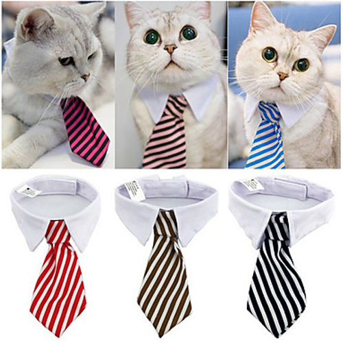 neck tie for cat