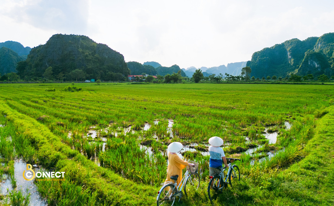 Unveiling Vietnamese Spring Artistry Marvels