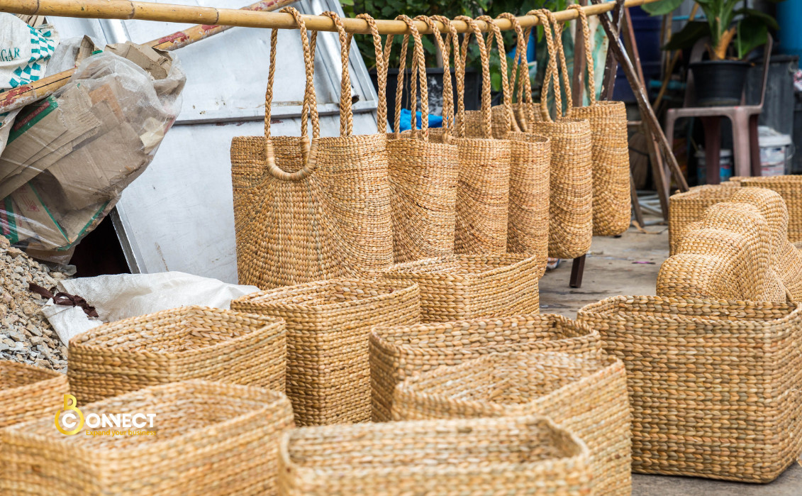 Discovering Vietnam'S Water Hyacinth Splendor