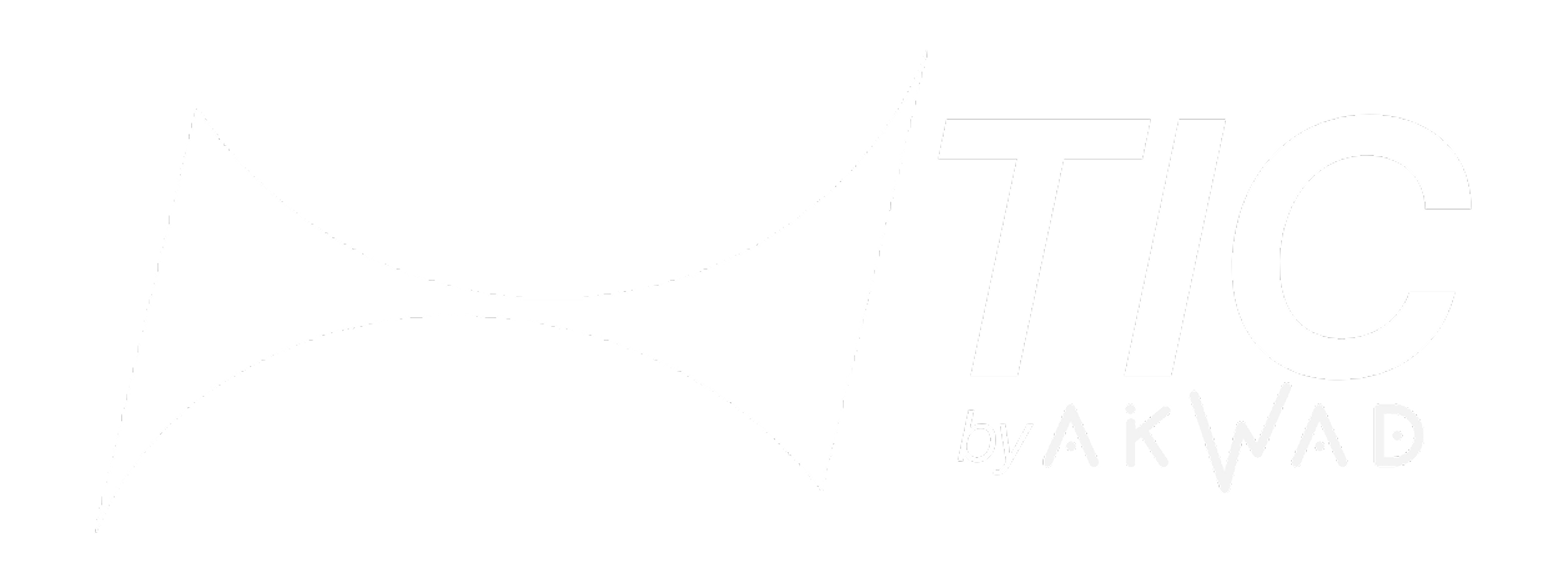 The Internet Company Logo