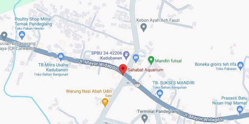 3. Perempatan Sahabat Aquarium