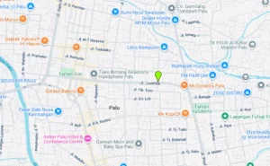 Jl. Mangunsarkoro Palu