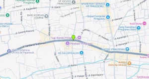 TITIK BALIHO PRINGSEWU Rantau Tijang.webp