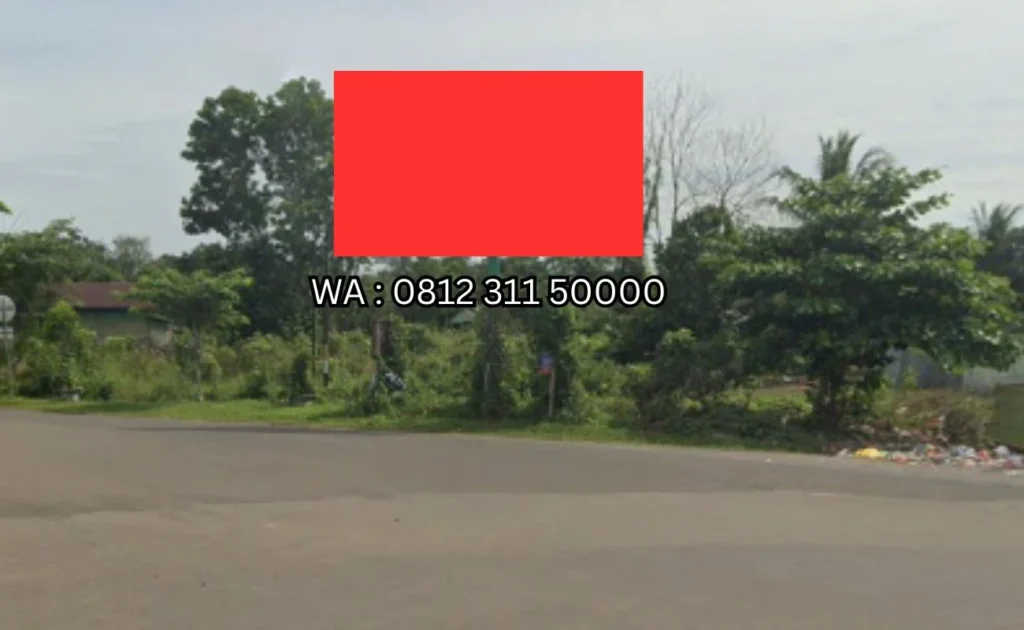 Lokasi Billboard Lamandau