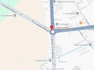 Jl. Lintas Timur Pringsewu