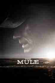 The Mule