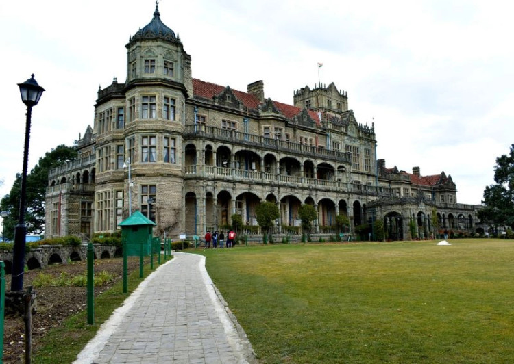 View Image