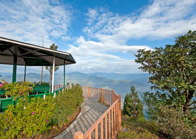 View Image