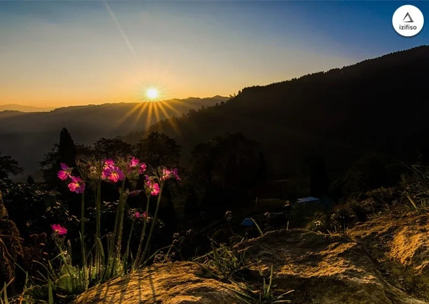 Gurdum Singalila Camp himalaya Snow Forest Camping Bengal Sandakphu