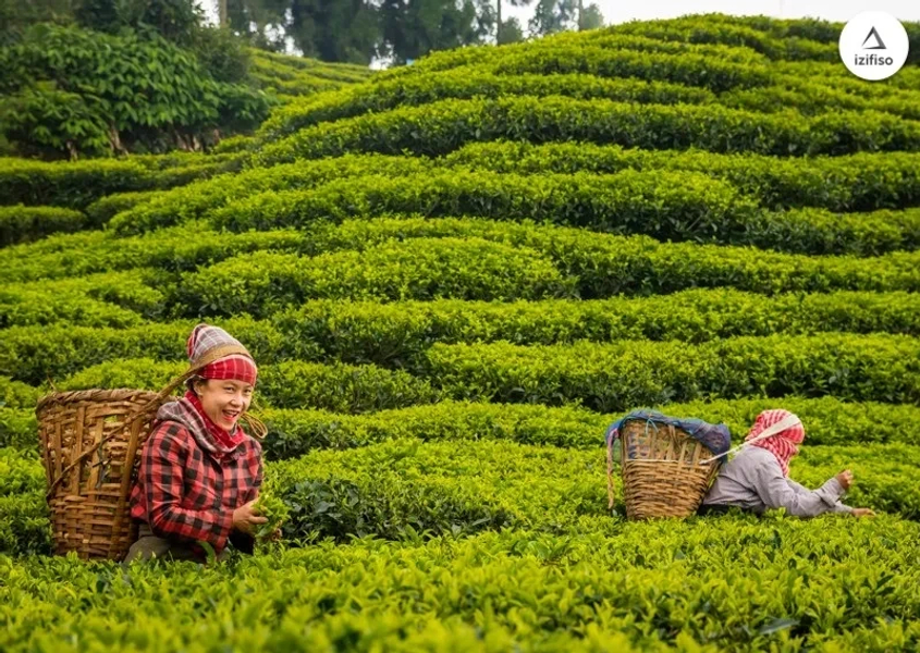 Upper Sittong experiential stay