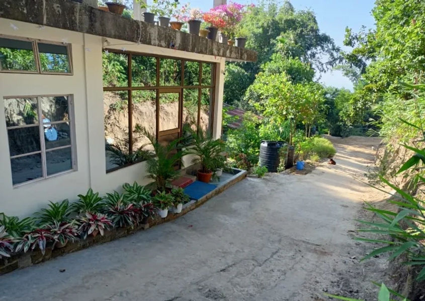 Baghmara Homestay Outdoor