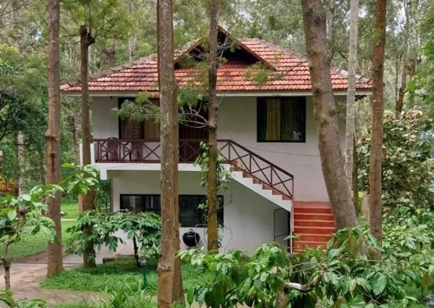 Property main view