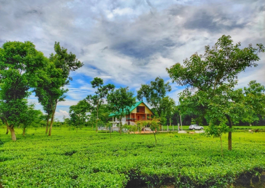 Property main view