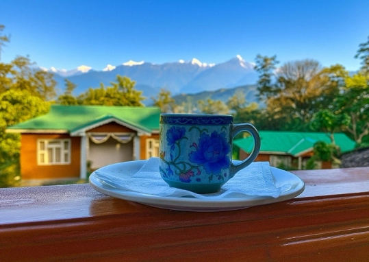 Barfung Homestay View from Room