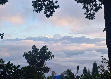 Lamahatta Farm Stay property booking