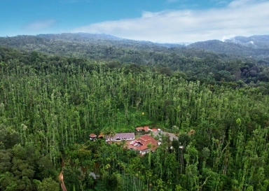 Chikmagalur homestay property booking