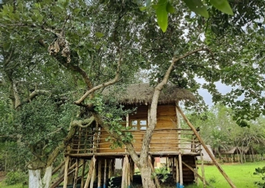 Doladanga Eco Stay property booking