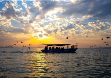 Chilika Retreat property booking