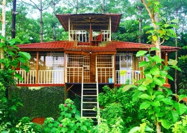 Jaldapara Eco Stay property booking