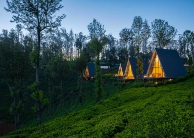 Ooty Glamping Resort property booking