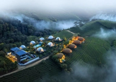Vagamon Glamping Resort property booking