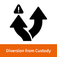 Diversion from Custody