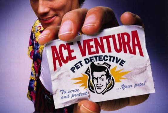 ace ventura pet detective wikipedia