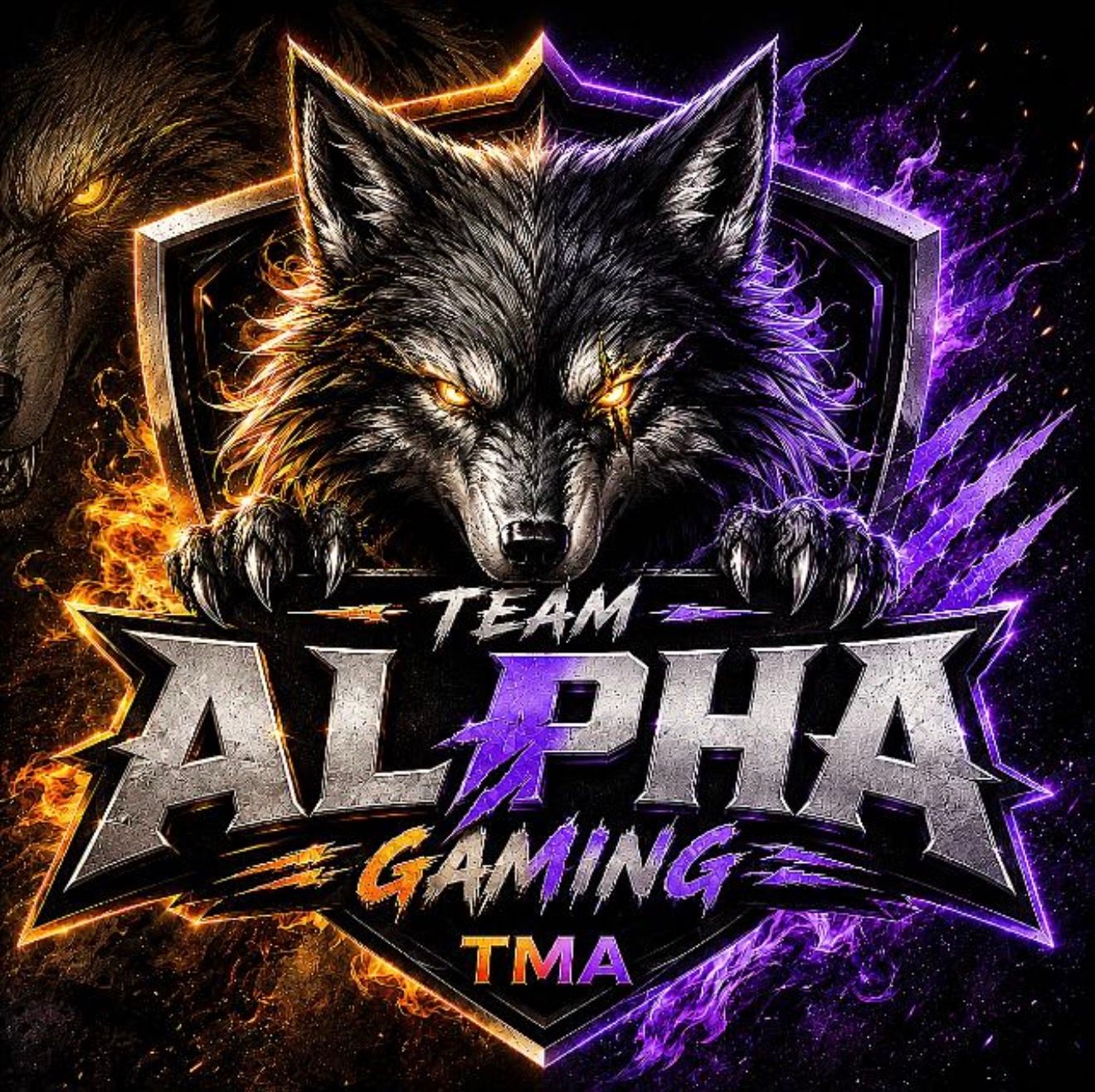 TEAMxALPHA