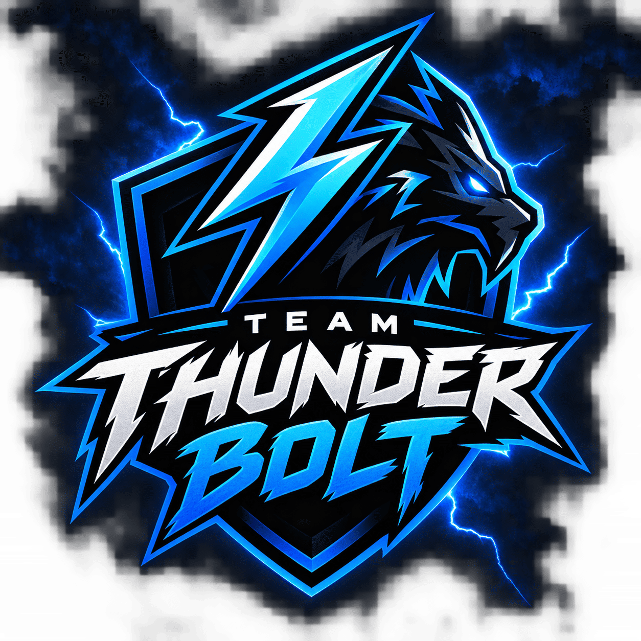Team THUNDER BOLT