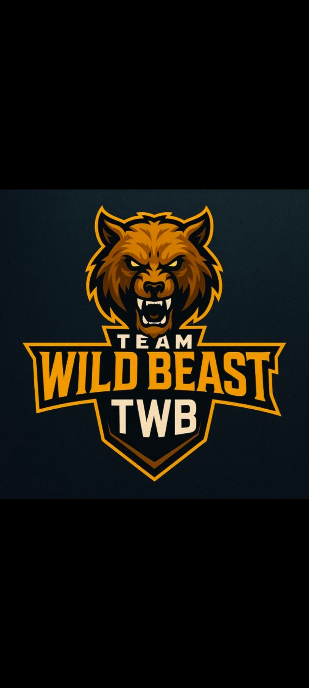 TEAM TWB