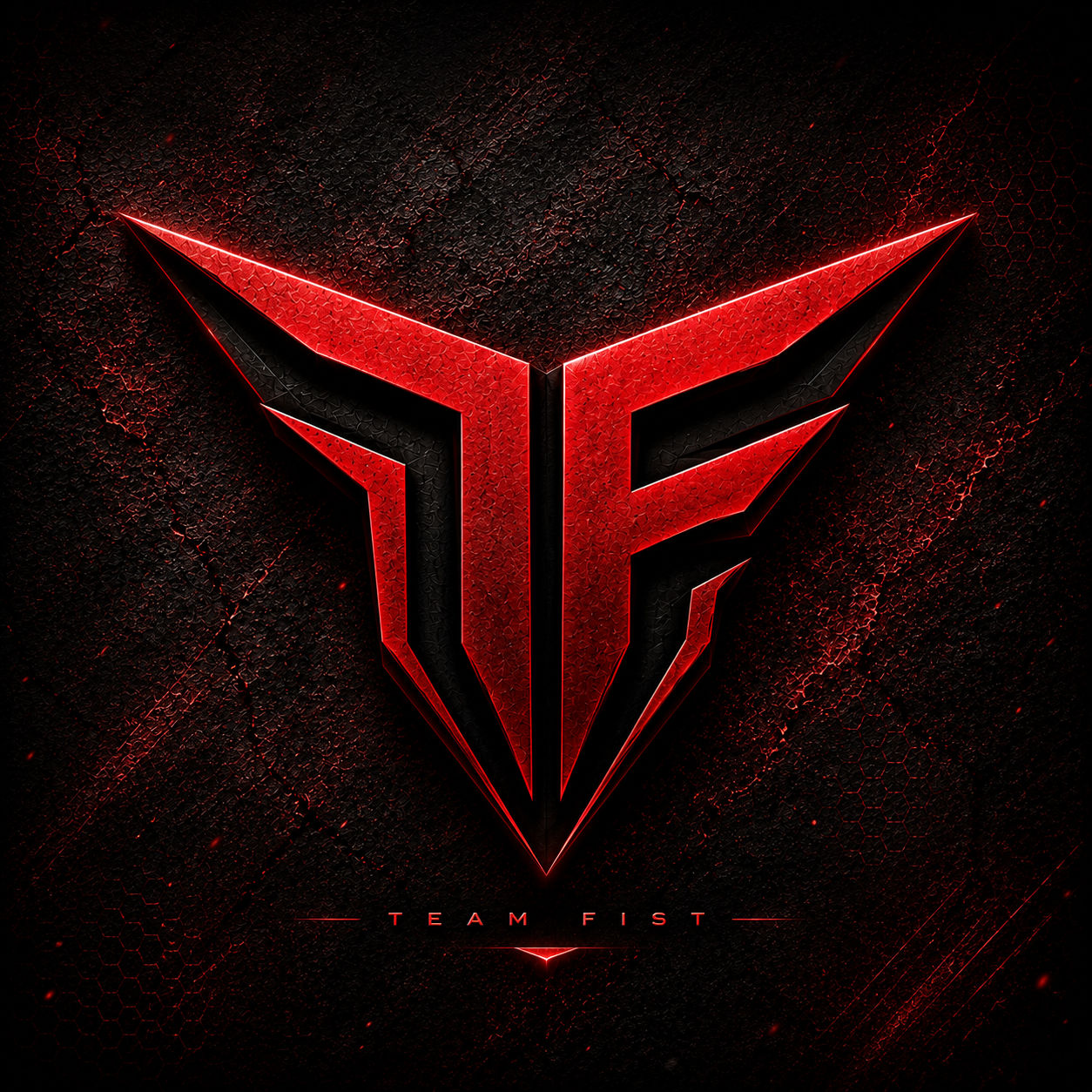 TEAM FIST
