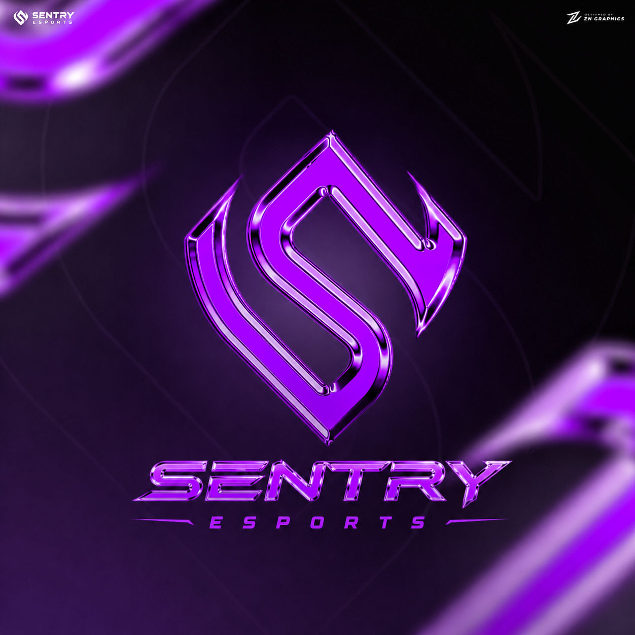 TEAM SENTRY ESPORTS