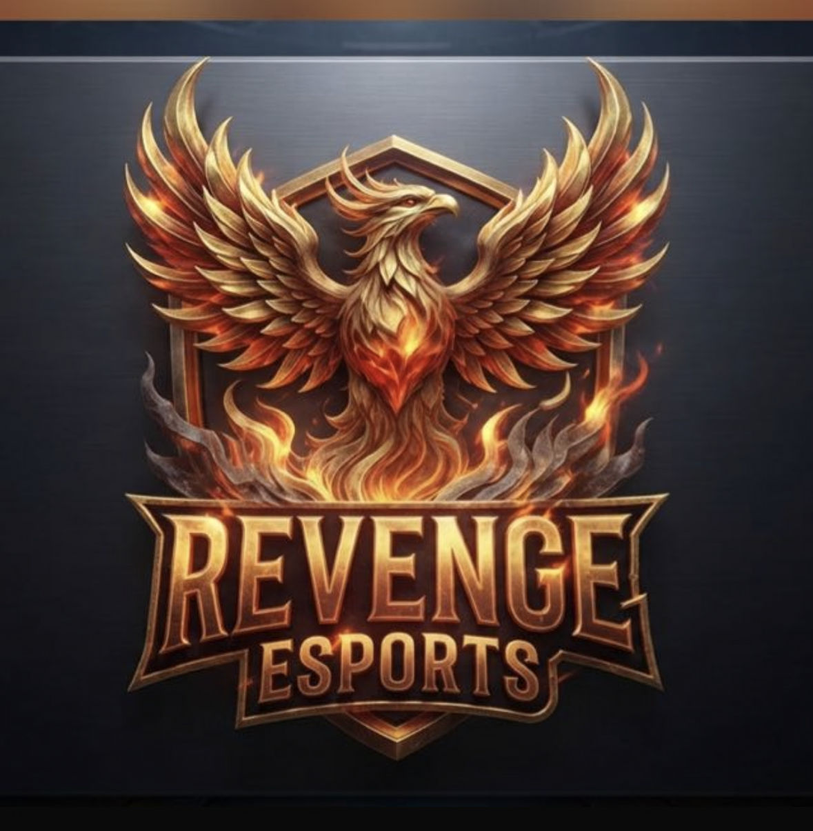 Revenge esports