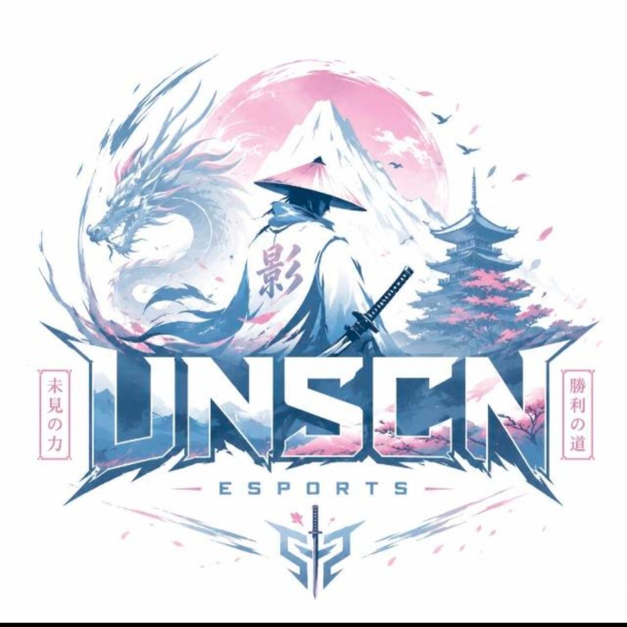 UNSCN ESPORTS