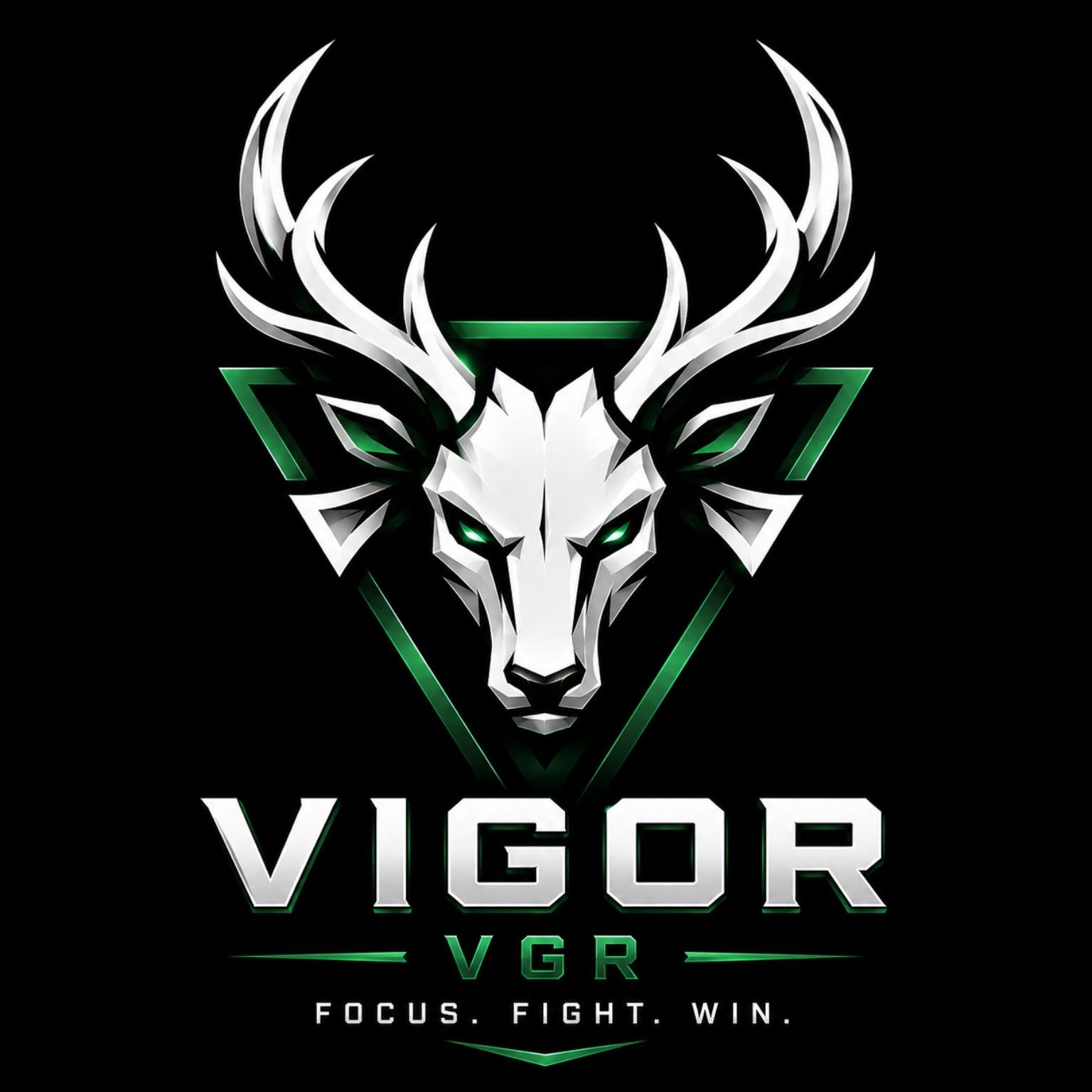 TEAM VIGOR