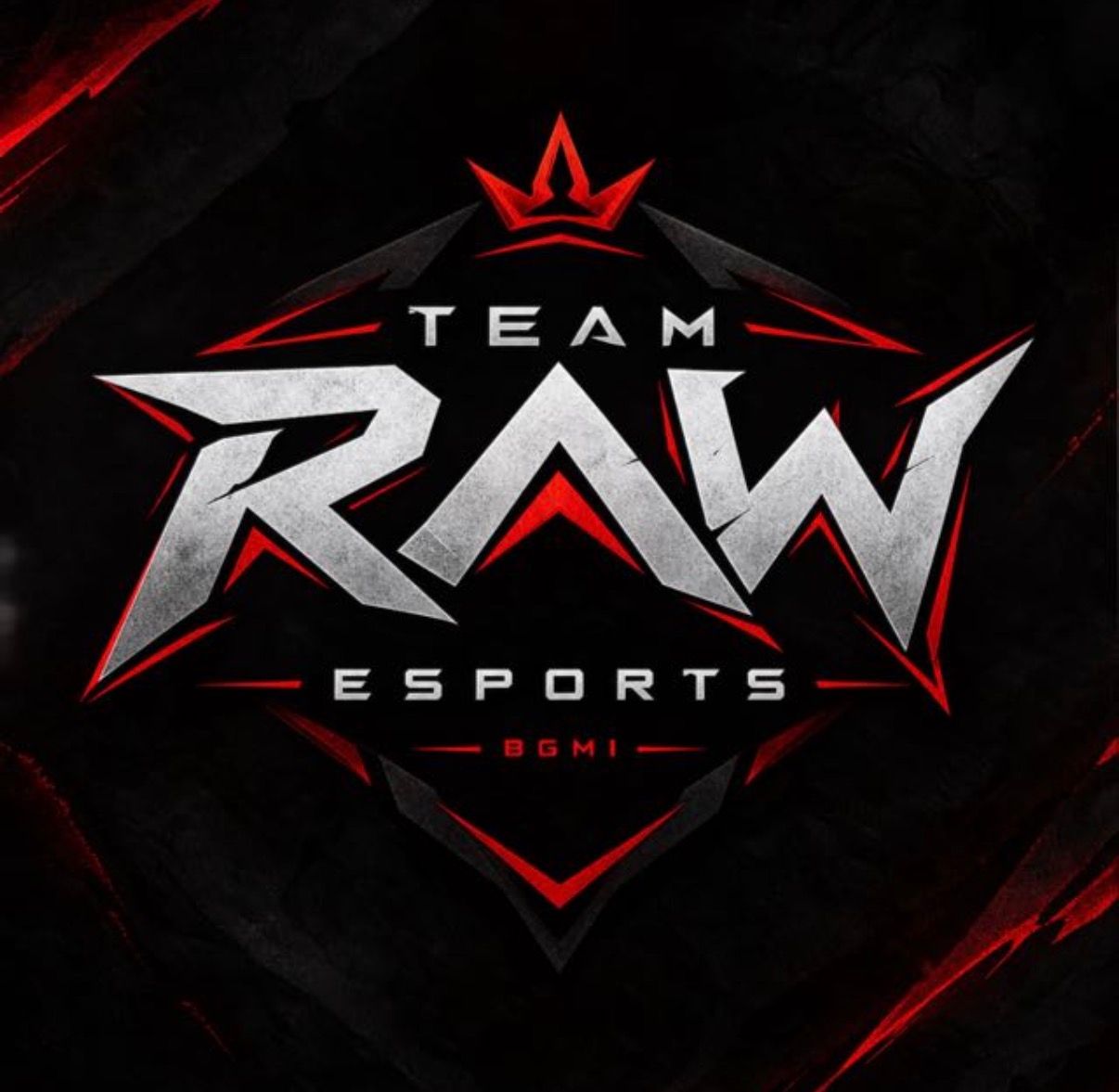 TEAM RAW ESPORTS