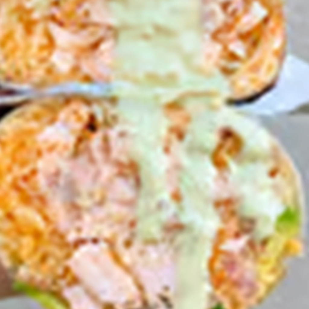 Image-Fish/Salmon Burrito